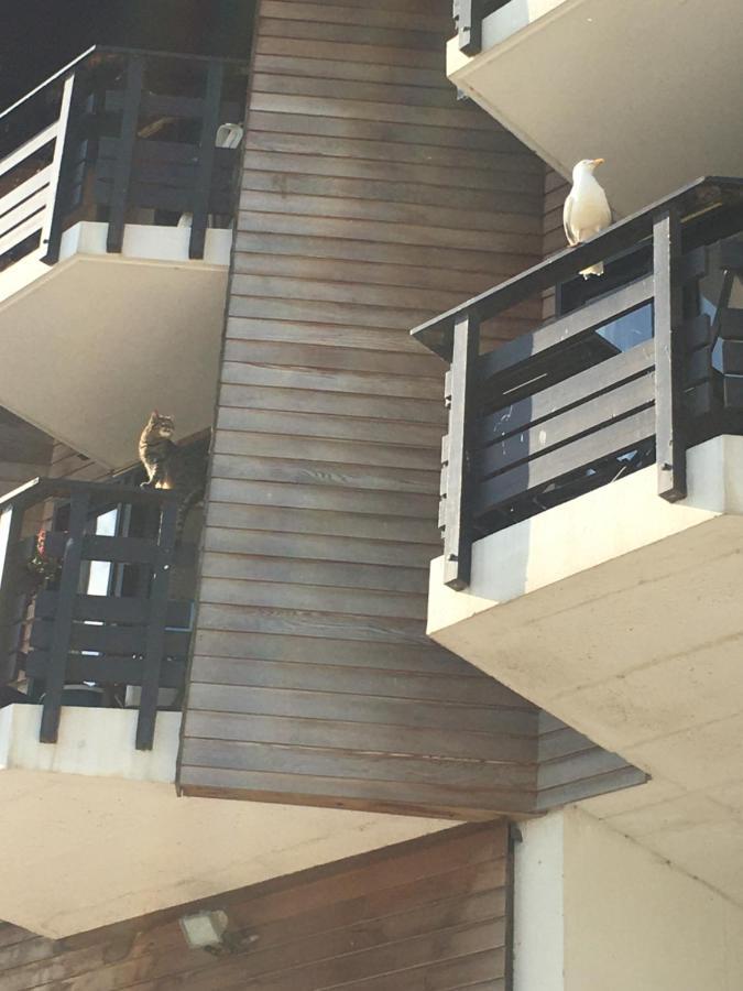 Mon Balcon Face A La Mer - Les Marinas โดวีลล์ ภายนอก รูปภาพ